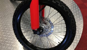 2024 Honda CRF 300L full