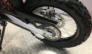 2024 Honda CRF 300L full