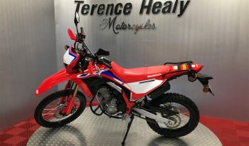 2024 Honda CRF 300L full