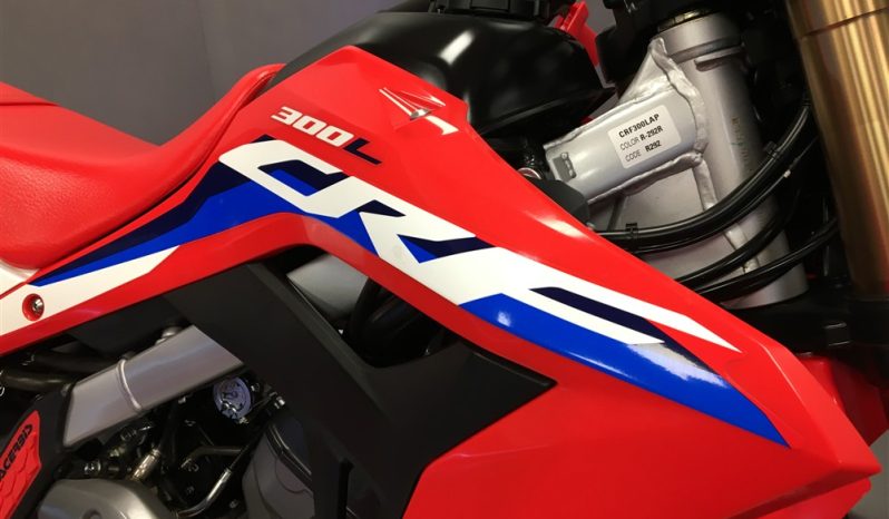 2024 Honda CRF 300L full