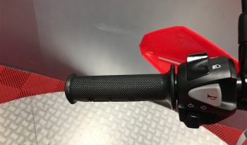 2024 Honda CRF 300L full