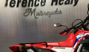 2024 Honda CRF 300L full