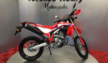 2024 Honda CRF 300L full