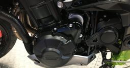 2020 Kawasaki Z900