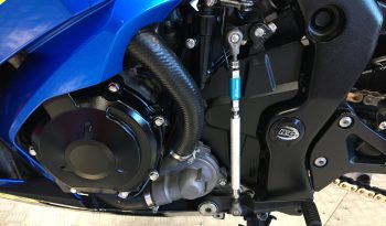 2019 Suzuki GSXR 1000 full