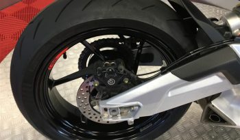 2024 Aprilia Tuono 660 full