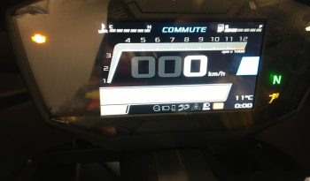 2025 Aprilia RS 660 full