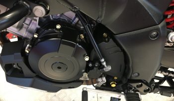 2021 Suzuki VStrom 1000 full