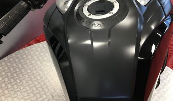 2021 Suzuki VStrom 1000 full