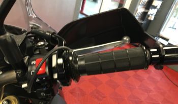 2021 Suzuki VStrom 1000 full