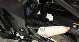 2025 Kawasaki ZX4R NINJA