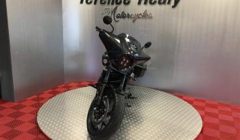 2025 Honda CMX1100 REBEL full