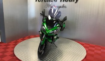 2019 Kawasaki Z1000SX full