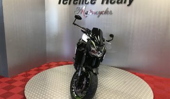 2019 Kawasaki Z900 full