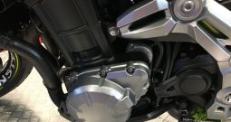 2019 Kawasaki Z900