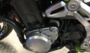 2019 Kawasaki Z900 full