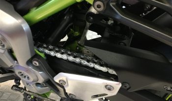 2019 Kawasaki Z900 full