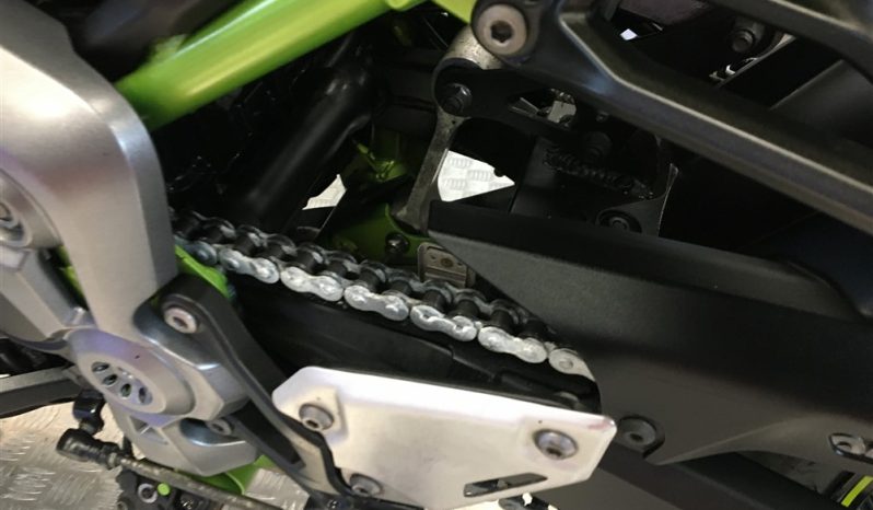 2019 Kawasaki Z900 full