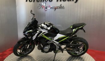 2019 Kawasaki Z900 full
