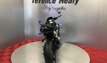 2019 Kawasaki Z900 full
