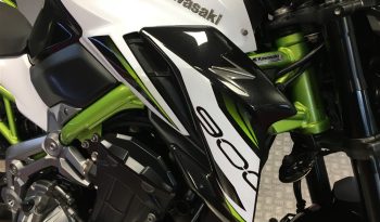 2019 Kawasaki Z900 full
