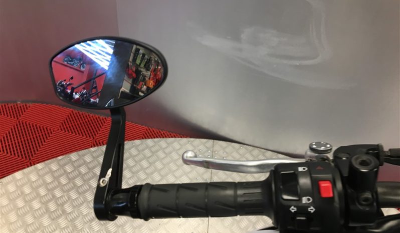 2019 Kawasaki Z900 full