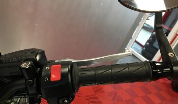 2019 Kawasaki Z900 full