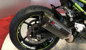2019 Kawasaki Z900 full