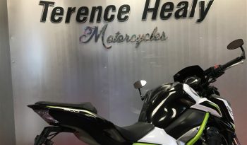 2019 Kawasaki Z900 full