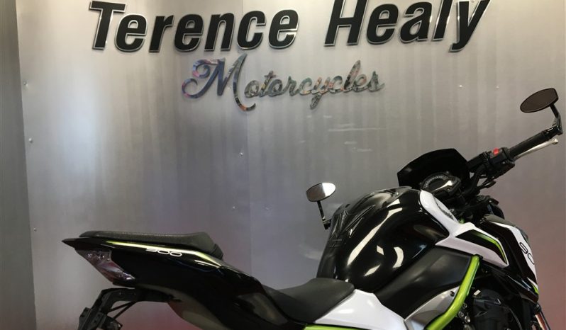 2019 Kawasaki Z900 full