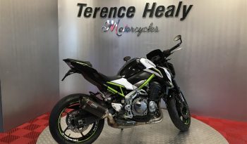 2019 Kawasaki Z900 full