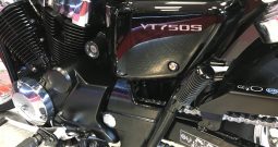 2010 Honda VT750S SHADOW