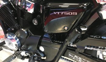 2010 Honda VT750S SHADOW full