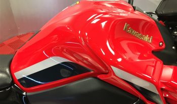 2022 Kawasaki Z900 full