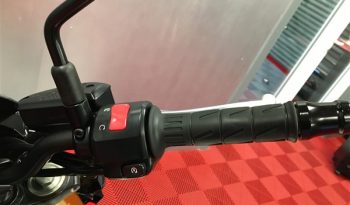 2022 Kawasaki Z900 full