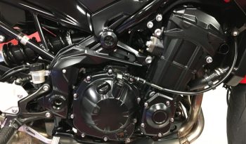 2022 Kawasaki Z900 full