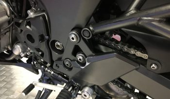 2024 Kawasaki Versys 1000 full