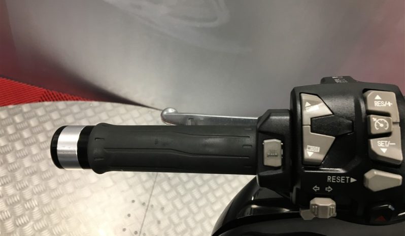 2024 Kawasaki Versys 1000 full