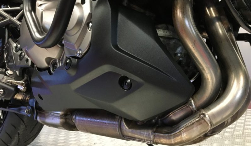 2024 Kawasaki Versys 1000 full