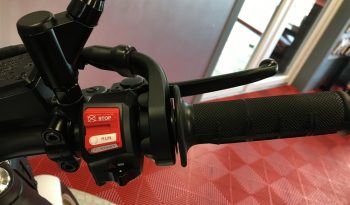 2024 Yamaha XSR 700 full