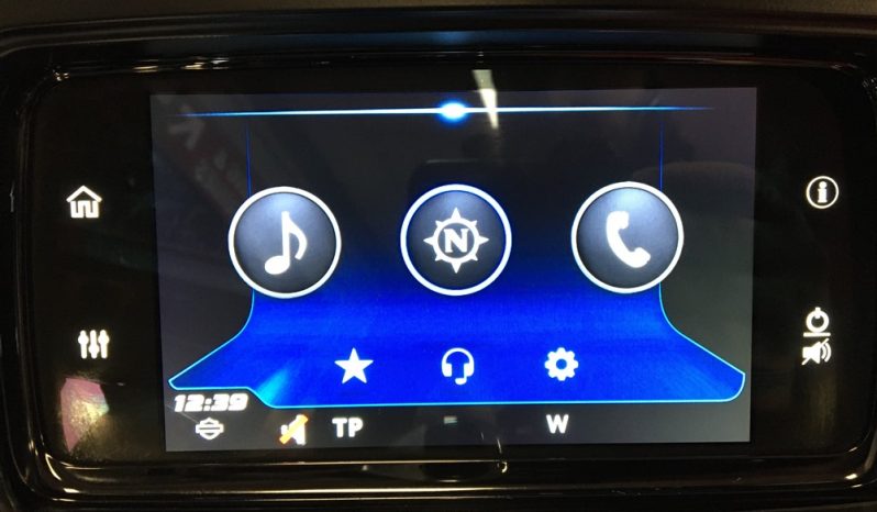 2019 Harley Davidson Street Glide full