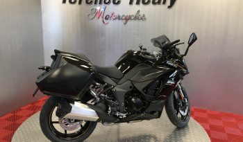2026 Kawasaki NINJA 1100SX full