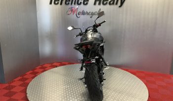 2023 Triumph Tiger 660 Sport full