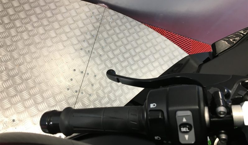 2017 Kawasaki ZX10R NINJA full