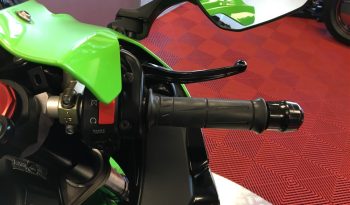 2017 Kawasaki ZX10R NINJA full