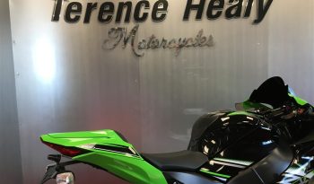 2017 Kawasaki ZX10R NINJA full