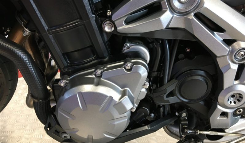2019 Kawasaki Z900 full