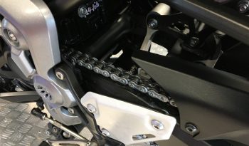 2019 Kawasaki Z900 full