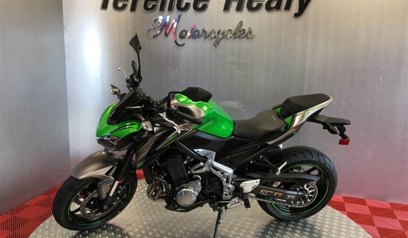 2019 Kawasaki Z900 full