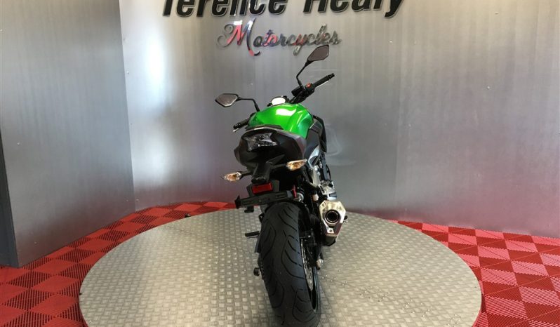 2019 Kawasaki Z900 full